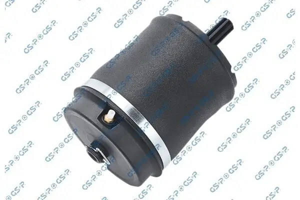 Luftfeder, Fahrwerk Hinterachse GSP 35100870