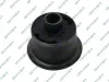 Lagerung, Differential unten vorne GSP 535761