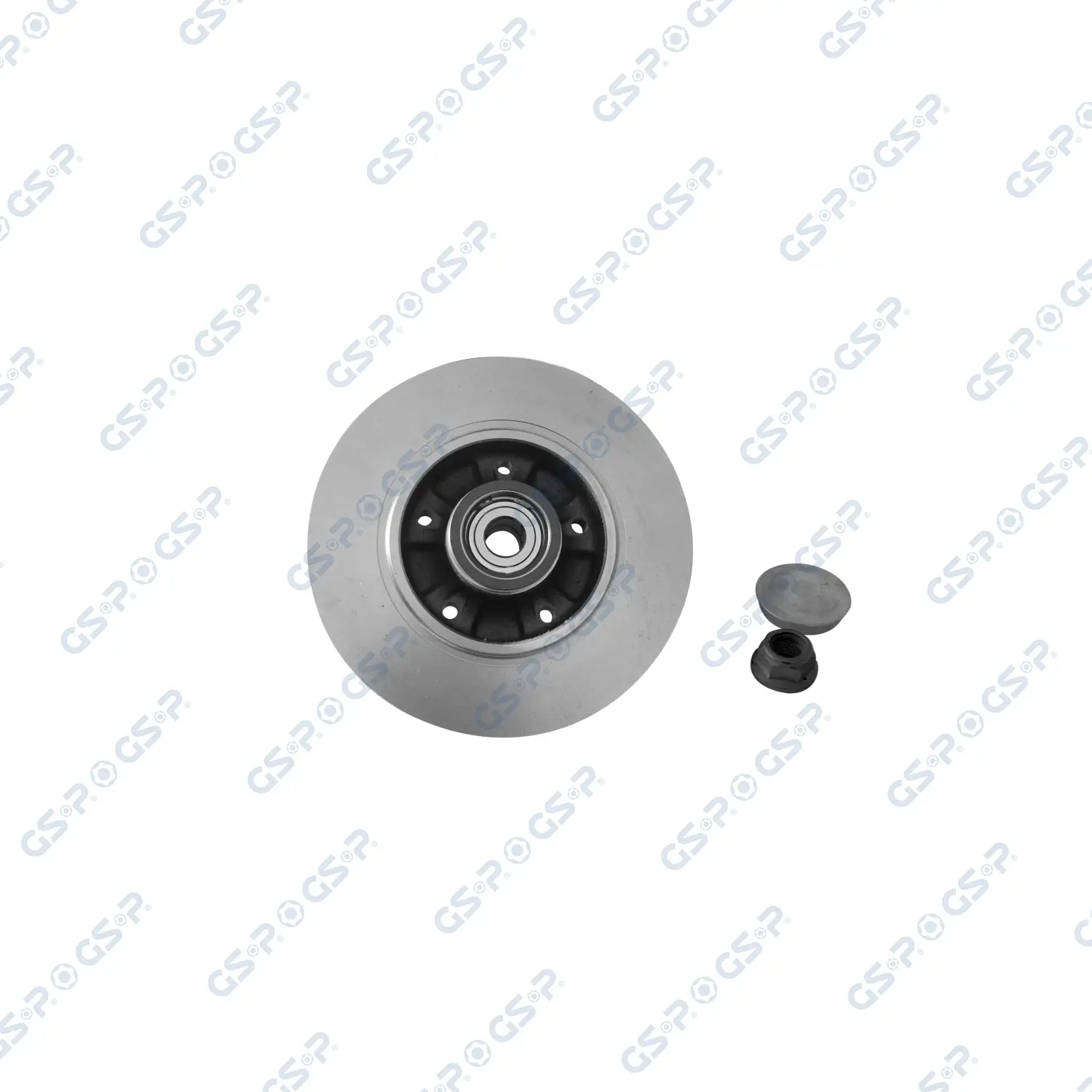 Bremsscheibe Hinterachse links Hinterachse rechts GSP 9225038K