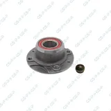 Radlagersatz GSP 9230002S