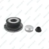 Radlagersatz GSP 9235018K