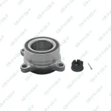 Radlagersatz GSP 9250001K