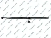 Gelenkwelle, Achsantrieb hinten GSP PS900347