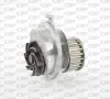 Wasserpumpe, Motorkühlung OPEN PARTS WAP8066.00