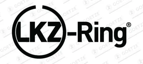 Kolbenringsatz GOETZE ENGINE 08-450800-00 Bild Kolbenringsatz GOETZE ENGINE 08-450800-00