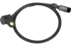 Sensor, Nockenwellenposition 12 V MOTORAD 1CS557