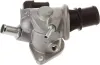 Thermostat, Kühlmittel MOTORAD 749-88K