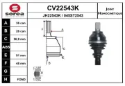 Gelenksatz, Antriebswelle EAI CV22543K