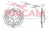 Bremsscheibe Vorderachse RAICAM RD01303 Bild Bremsscheibe Vorderachse RAICAM RD01303