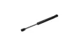 Gasfeder, Koffer-/Laderaum beidseitig MAXGEAR 12-1564