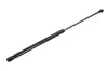 Gasfeder, Koffer-/Laderaum beidseitig MAXGEAR 12-1713