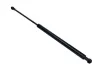 Gasfeder, Koffer-/Laderaum MAXGEAR 12-1843