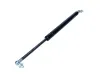 Gasfeder, Koffer-/Laderaum MAXGEAR 12-1966