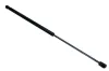 Gasfeder, Koffer-/Laderaum beidseitig MAXGEAR 12-2074