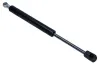 Gasfeder, Koffer-/Laderaum beidseitig MAXGEAR 12-2082