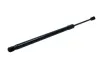 Gasfeder, Koffer-/Laderaum MAXGEAR 12-2355