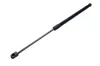 Gasfeder, Koffer-/Laderaum beidseitig MAXGEAR 12-2423