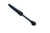 Gasfeder, Koffer-/Laderaum beidseitig MAXGEAR 12-2431 Bild Gasfeder, Koffer-/Laderaum beidseitig MAXGEAR 12-2431