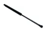 Gasfeder, Koffer-/Laderaum beidseitig MAXGEAR 12-2439 Bild Gasfeder, Koffer-/Laderaum beidseitig MAXGEAR 12-2439