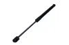 Gasfeder, Koffer-/Laderaum MAXGEAR 12-2453