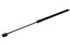 Gasfeder, Koffer-/Laderaum beidseitig MAXGEAR 12-2481