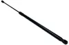Gasfeder, Koffer-/Laderaum MAXGEAR 12-2492