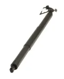 Gasfeder, Einlegeboden (Koffer-/Laderaum) Kofferraum hinten rechts MAXGEAR 12-2556