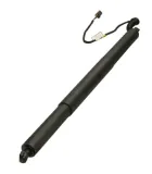 Gasfeder, Einlegeboden (Koffer-/Laderaum) Kofferraum MAXGEAR 12-2561