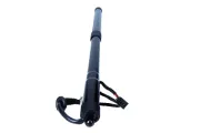 Gasfeder, Einlegeboden (Koffer-/Laderaum) hinten rechts MAXGEAR 12-2565