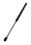 Gasfeder, Koffer-/Laderaum MAXGEAR 12-2570