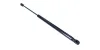 Gasfeder, Motorhaube beidseitig MAXGEAR 12-2579