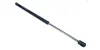 Gasfeder, Motorhaube beidseitig MAXGEAR 12-2579 Bild Gasfeder, Motorhaube beidseitig MAXGEAR 12-2579