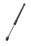 Gasfeder, Koffer-/Laderaum hinten rechts MAXGEAR 12-2621