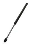 Gasfeder, Koffer-/Laderaum MAXGEAR 12-2625