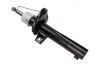 Sto&szlig;d&auml;mpfer Vorderachse MAXGEAR 11-0543