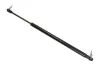 Gasfeder, Koffer-/Laderaum beidseitig MAXGEAR 12-1541