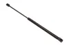 Gasfeder, Koffer-/Laderaum beidseitig MAXGEAR 12-1719