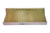 Filter, Innenraumluft MAXGEAR 26-0516