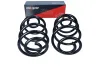 Fahrwerksfeder Hinterachse MAXGEAR 60-0004D Bild Fahrwerksfeder Hinterachse MAXGEAR 60-0004D