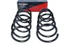 Fahrwerksfeder Vorderachse MAXGEAR 60-0079D Bild Fahrwerksfeder Vorderachse MAXGEAR 60-0079D