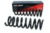 Fahrwerksfeder Hinterachse MAXGEAR 60-0258D Bild Fahrwerksfeder Hinterachse MAXGEAR 60-0258D