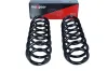 Fahrwerksfeder Hinterachse MAXGEAR 60-0528D Bild Fahrwerksfeder Hinterachse MAXGEAR 60-0528D