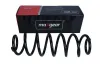 Fahrwerksfeder Hinterachse MAXGEAR 60-0555D Bild Fahrwerksfeder Hinterachse MAXGEAR 60-0555D
