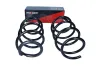 Fahrwerksfeder Vorderachse MAXGEAR 60-0880D Bild Fahrwerksfeder Vorderachse MAXGEAR 60-0880D