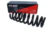 Fahrwerksfeder Hinterachse MAXGEAR 60-0913 Bild Fahrwerksfeder Hinterachse MAXGEAR 60-0913