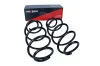 Fahrwerksfeder Hinterachse MAXGEAR 60-0926D Bild Fahrwerksfeder Hinterachse MAXGEAR 60-0926D