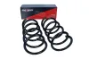 Fahrwerksfeder Hinterachse MAXGEAR 60-0935D Bild Fahrwerksfeder Hinterachse MAXGEAR 60-0935D