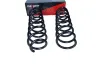 Fahrwerksfeder Hinterachse Hinterachse MAXGEAR 60-1082D Bild Fahrwerksfeder Hinterachse Hinterachse MAXGEAR 60-1082D