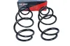 Fahrwerksfeder Hinterachse MAXGEAR 60-1099D Bild Fahrwerksfeder Hinterachse MAXGEAR 60-1099D