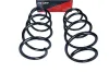 Fahrwerksfeder Vorderachse MAXGEAR 60-1108D Bild Fahrwerksfeder Vorderachse MAXGEAR 60-1108D